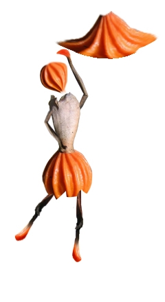 Creation of Seed Dance: Step 10